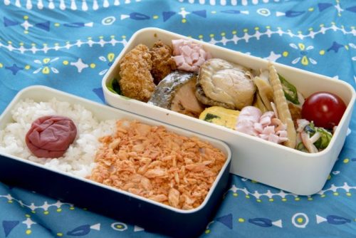倉橋美佳,お弁当,お弁当箱,アクタ,エージェントプラス