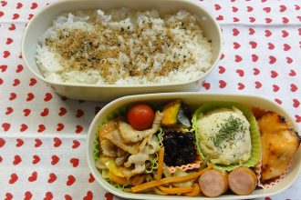 acta,アクタ,容器,パッケージ,お弁当箱,エージェントプラス,折箱