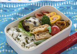 社長業の傍らでお弁当つくる。女子力磨いています。