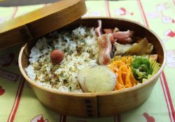 アレルギー子にはお弁当が必須アイテムなのです！